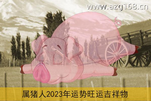 属猪2023年运势及运程详解 2023年属猪人的全年每月运势_祥安阁风水网