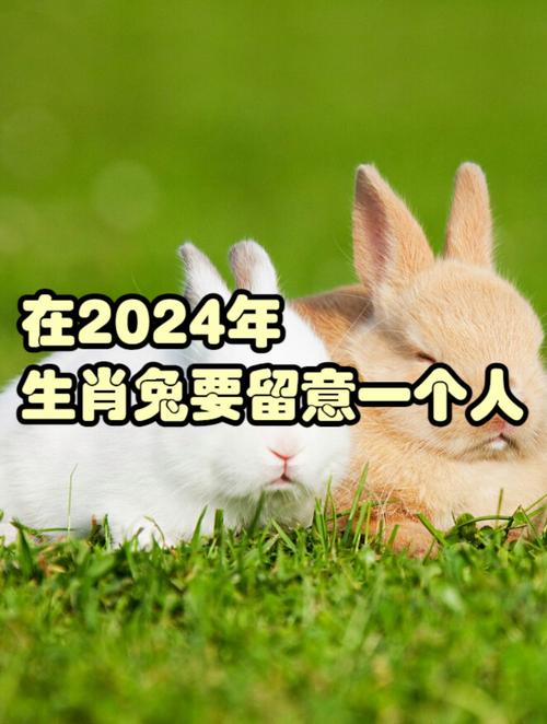 在2024年,生肖兔要留意一个人