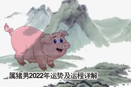 属猪男2023年运势及运程详解 2023年属猪人的全年运势男性_2023年生肖