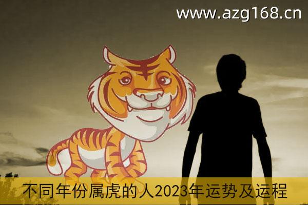 不同年份属虎2023年运势及运程