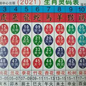 2023年六合彩十二生肖卡香港台湾澳门通用波色五行参考表正品包邮