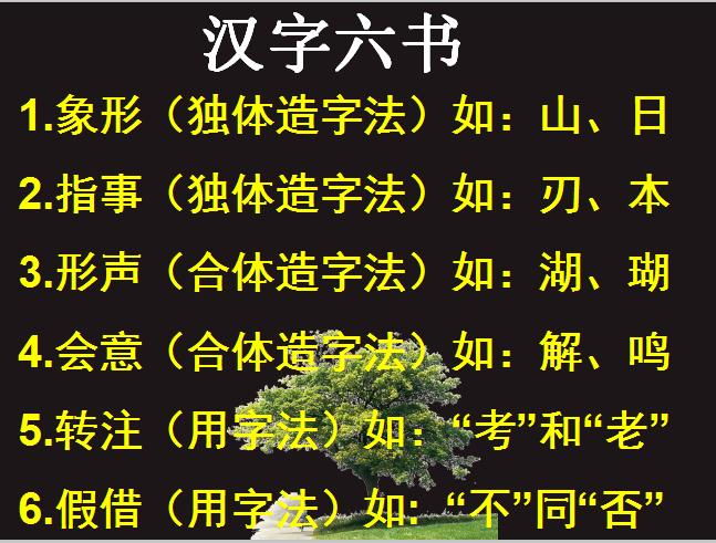 要求学生掌握汉字的四种造字法和两种用字法,并结合例子讲解,让学生在