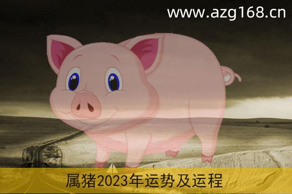 属猪2023年运势及运程详解
