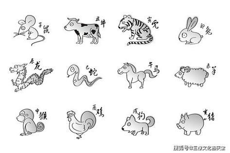 画十二生肖的技巧:抓住12种动物的特征绘画,比如老鼠尖嘴细尾,牛的