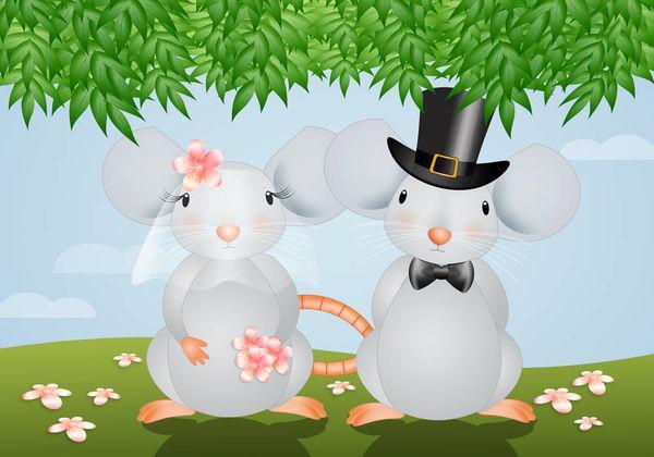 生肖鼠和鼠婚姻相配吗属鼠女和属鼠男的婚姻是很好的,虽然属鼠女和属