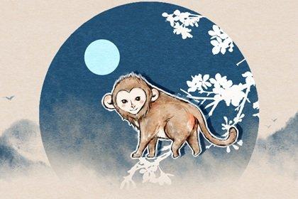 十二生肖猴子人聪明,聪明,而且在生活中经常是多才多艺的.