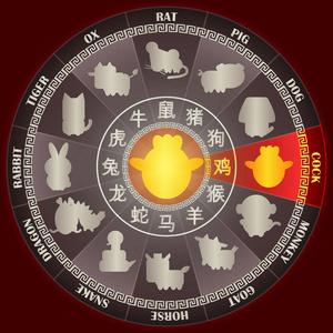 年的公鸡在金中国生肖轮与字符号和十二生肖符号的中国占星年历矢量