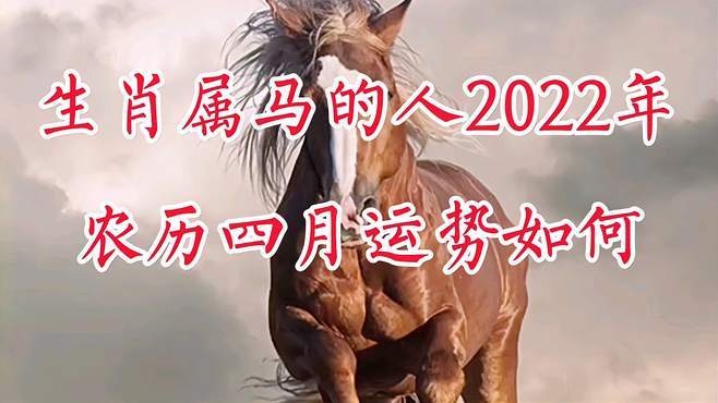 生肖属马的人2023年农历四月运势如何-情感视频-搜狐视频