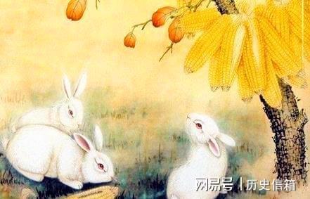 生肖兔女属兔的女人温柔善良,她们为了自己的爱人总是无怨无悔付出
